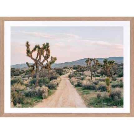 productHero-SPOTWF-BP920029182-wide-border-oak-frame