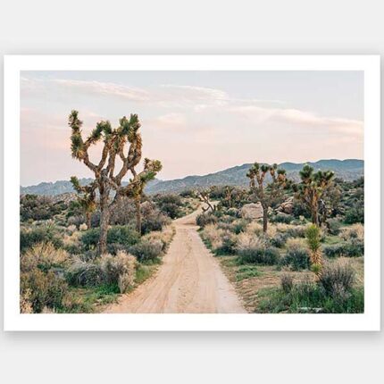 productHero-SPOTWF-BP920029182-wide-border-unframed