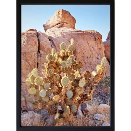 productHero-SPOTWF-BP920029210-black-frame