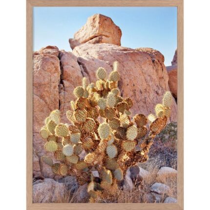productHero-SPOTWF-BP920029210-oak-frame