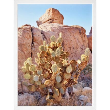 productHero-SPOTWF-BP920029210-white-frame