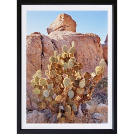 productHero-SPOTWF-BP920029210-wide-border-black-frame
