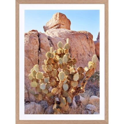 productHero-SPOTWF-BP920029210-wide-border-oak-frame