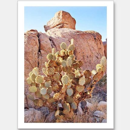 productHero-SPOTWF-BP920029210-wide-border-unframed