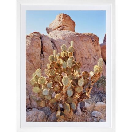 productHero-SPOTWF-BP920029210-wide-border-white-frame