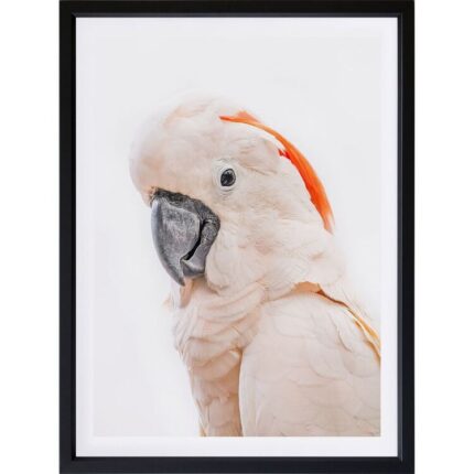productHero-SPOTWF-BP920029224-wide-border-black-frame