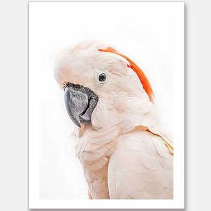 productHero-SPOTWF-BP920029224-wide-border-unframed