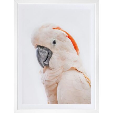 productHero-SPOTWF-BP920029224-wide-border-white-frame