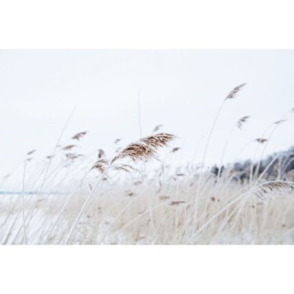 productHero-SPOTWF-BP920029252-canvas