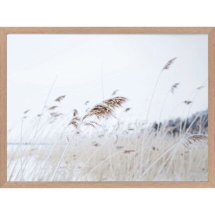 productHero-SPOTWF-BP920029252-oak-frame
