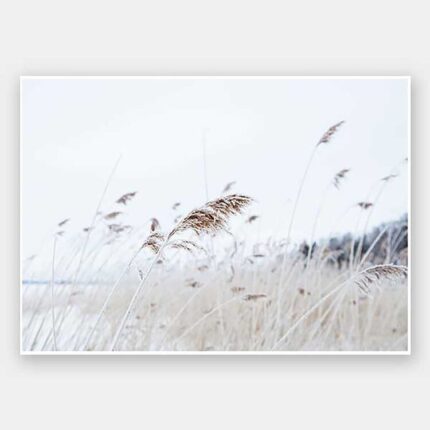 productHero-SPOTWF-BP920029252-unframed
