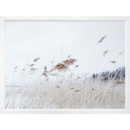 productHero-SPOTWF-BP920029252-white-frame