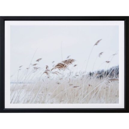 productHero-SPOTWF-BP920029252-wide-border-black-frame