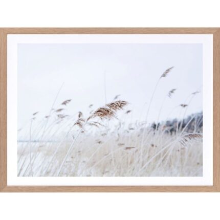 productHero-SPOTWF-BP920029252-wide-border-oak-frame