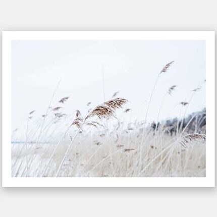 productHero-SPOTWF-BP920029252-wide-border-unframed