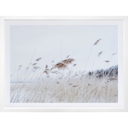 productHero-SPOTWF-BP920029252-wide-border-white-frame