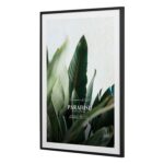 productHero-SPOTWF-BP920037025-black-8