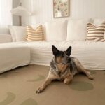 productHero-SPOTWF-BP920040587-brown-5