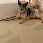 productHero-SPOTWF-BP920040587-brown-6