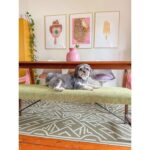 productHero-SPOTWF-BP920040595-olive-9