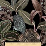 productHero-SPOTWF-BP920041664-coal